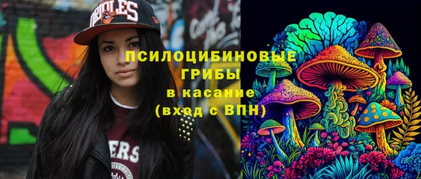 спиды Алексин