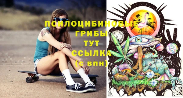 бошки Алзамай