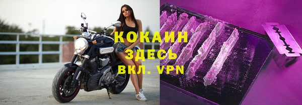 бошки Алзамай