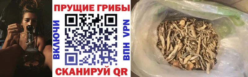 Галлюциногенные грибы мухоморы  OMG как войти  Закаменск 